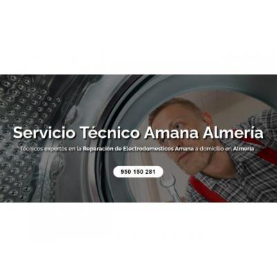 Servicio Técnico Amana Almeria 950206887