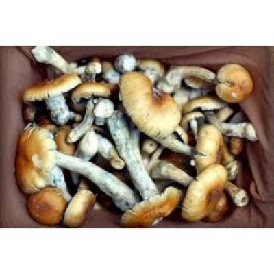 Inyección de glutatión IV de alta calidad a la venta.