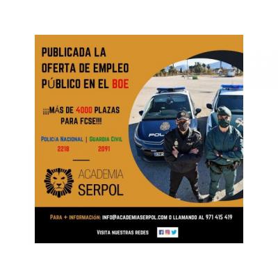 POLICÍA NACIONAL Y GUARDIA CIVIL