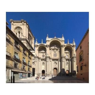 GRUPO DE DISIDENTES DE LA PANDEMIA EN GRANADA
