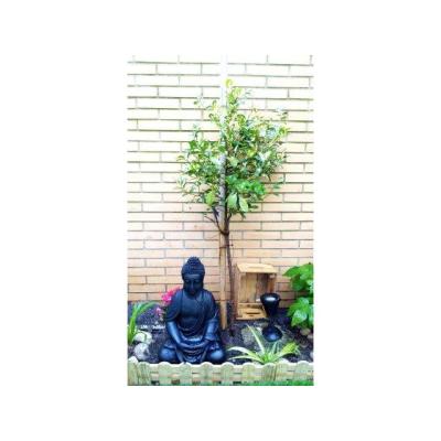 Quiromasaje profesional descontracturantes y relajantes