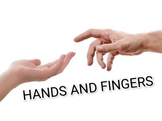 HANDS AND FINGERS