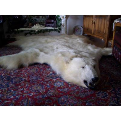 Pieles blandas de oso polar