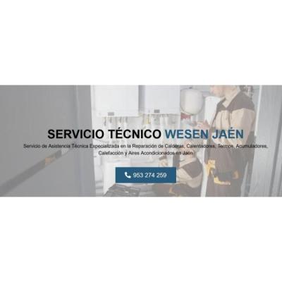 Servicio Técnico Wesen Jaen 953274259