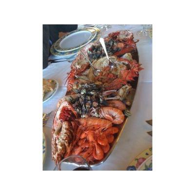 SE NECESITA COMPAÑERA/MUJER