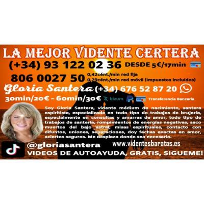 VIDENCIA ATIENDO YO SOLA