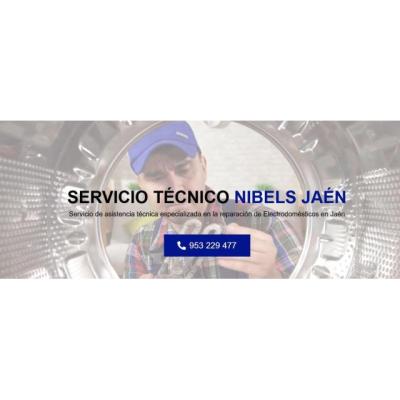 Servicio Técnico Nibels Jaen 953274259
