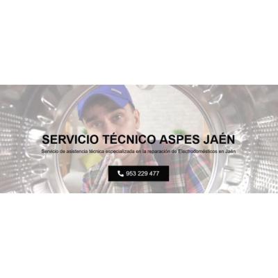Servicio Técnico Aspes Jaen 953274259