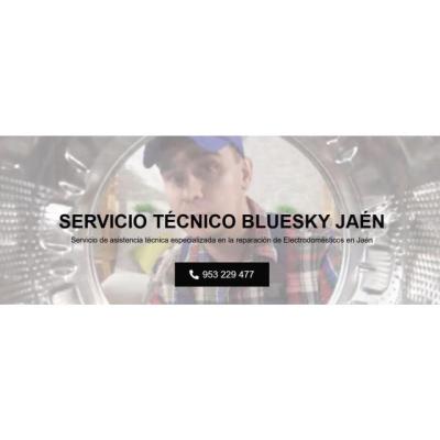 Servicio Técnico Bluesky Jaen 953274259