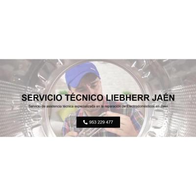 Servicio Técnico Liebherr Jaen 953274259