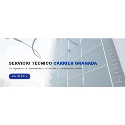 Servicio Técnico Carrier Granada 958210644