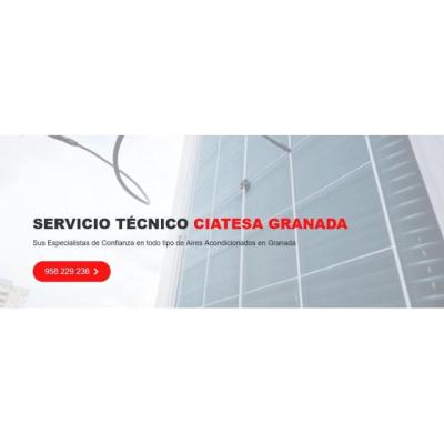 Servicio Técnico Ciatesa Granada 958210644