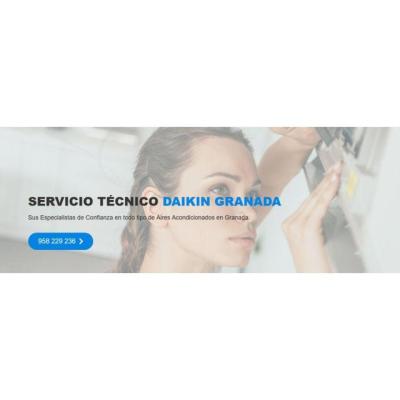 Servicio Técnico Daikin Granada 958210644