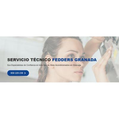 Servicio Técnico Fedders Granada 958210644