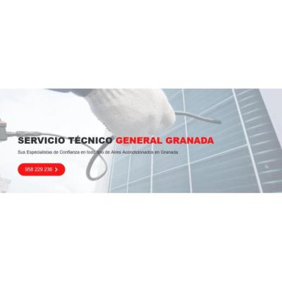 Servicio Técnico General Granada 958210644