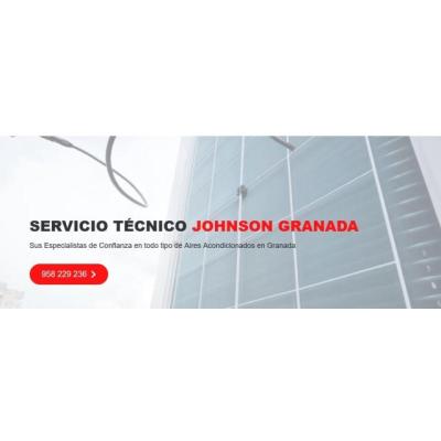 Servicio Técnico Johnson Granada 958210644