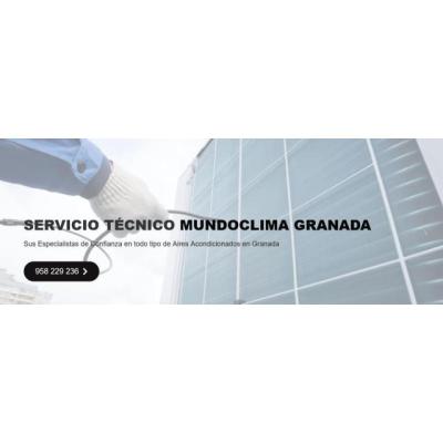 Servicio Técnico Mundoclima Granada 958210644
