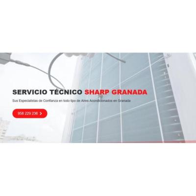 Servicio Técnico Sharp Granada 958210644