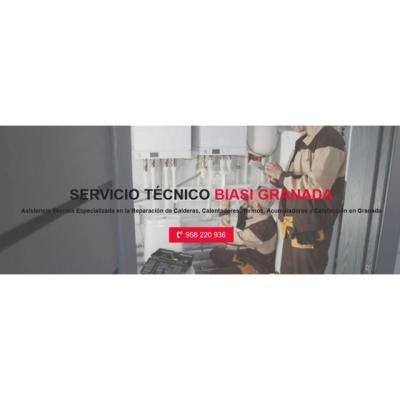 Servicio Técnico Biasi Granada 958210644