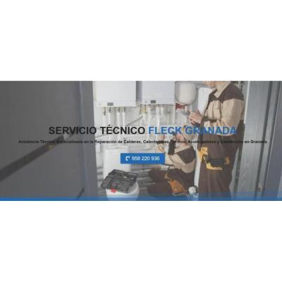 Servicio Técnico Fleck Granada 958210644