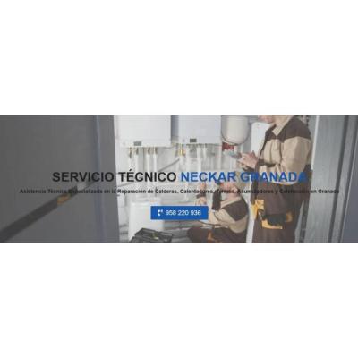 Servicio Técnico Neckar Granada 958210644