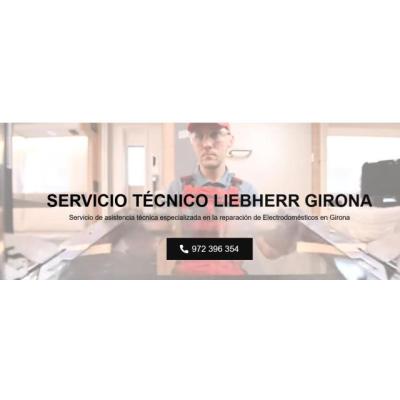 Servicio Técnico Liebherr Girona 972396313