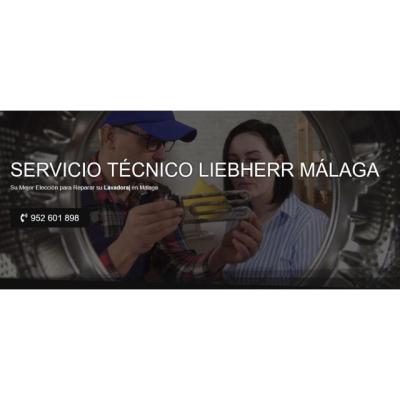 Servicio Técnico Liebherr Malaga 952210452
