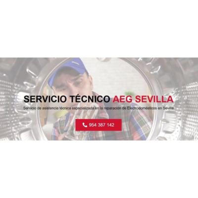 Servicio Técnico Aeg Sevilla 954341171