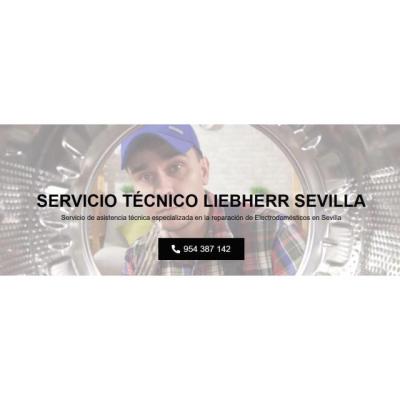 Servicio Técnico Liebherr Sevilla 954341171
