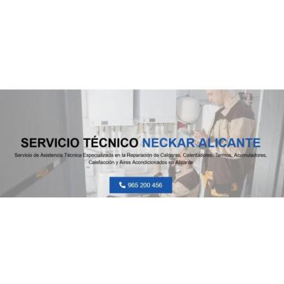 Servicio Técnico Neckar Alicante 965217105