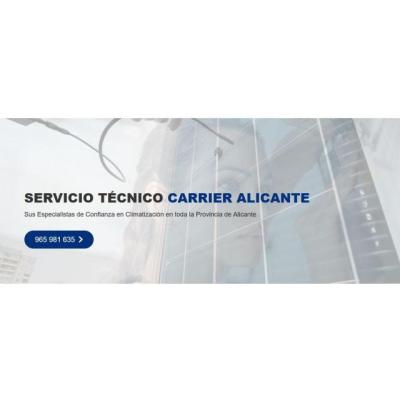 Servicio Técnico Carrier Alicante 965217105