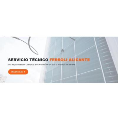 Servicio Técnico Ferroli Alicante 965217105