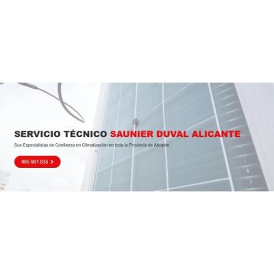 Servicio Técnico Saunier Duval Alicante 965217105