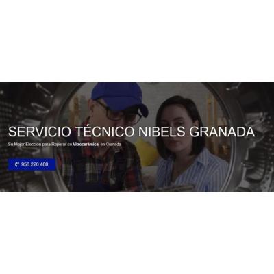 Servicio Técnico Nibels Granada 958210644