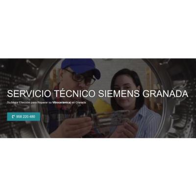 Servicio Técnico Siemens Granada 958210644