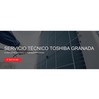 Servicio Técnico Toshiba Granada 958210644