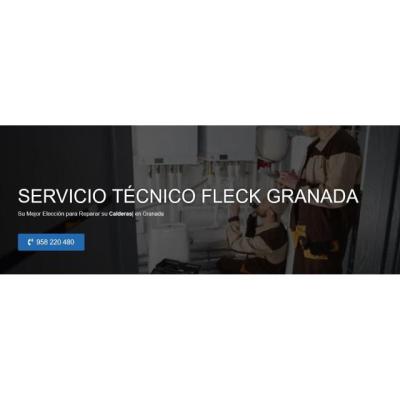 Servicio Técnico Fleck Granada 958210644