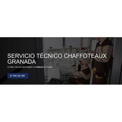Servicio Técnico Chaffoteaux Granada 958210644