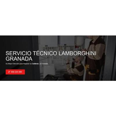 Servicio Técnico Lamborghini Granada 958210644