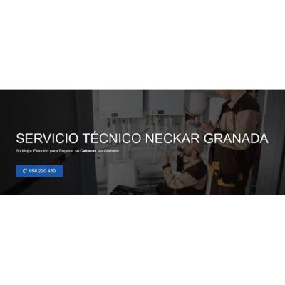 Servicio Técnico Neckar Granada 958210644