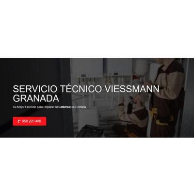 Servicio Técnico Viessmann Granada 958210644
