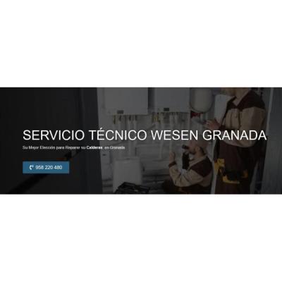 Servicio Técnico Wesen Granada 958210644