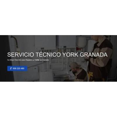 Servicio Técnico York Granada 958210644