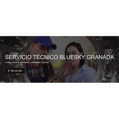 Servicio Técnico Bluesky Granada 958210644