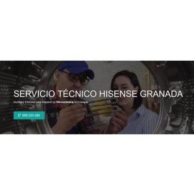 Servicio Técnico Hisense Granada 958210644