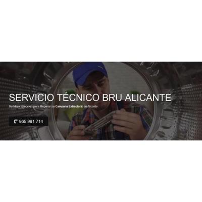 Servicio Técnico Bru Alicante 965217105
