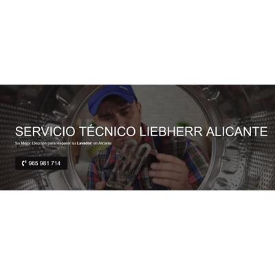 Servicio Técnico Liebherr Alicante 965217105