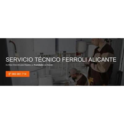 Servicio Técnico Ferroli Alicante 965217105