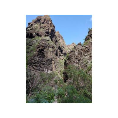 Grupo Local Senderista Tenerife