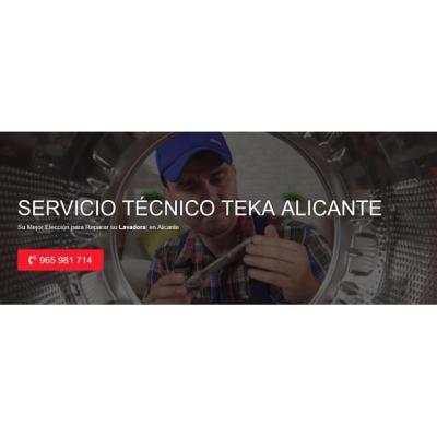 Servicio Técnico Teka Alicante 965217105